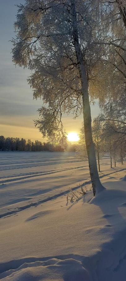 索丹屈莱酒店 Sodankylä 外观 照片